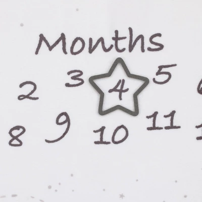 Disney Dumbo Super Soft Milestone Baby Blanket 5 Disney Dumbo Super Soft Milestone Baby Blanket - Image 3