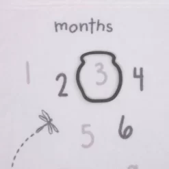 Disney Baby Classic Pooh Milestone Blanket -Disney GUEST 6dcf4956 b977 4ea7 82e7 22e1e03aac98