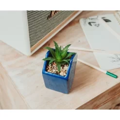 Silver Buffalo Disney Atlantis: The Lost Empire Stone Face 4-Inch Ceramic Mini Planter 10 Silver Buffalo Disney Atlantis: The Lost Empire Stone Face 4-Inch Ceramic Mini Planter -Disney GUEST beec8d8e c254 4f4b af4b fb063bf1c703