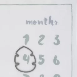 Disney Lion King Simba Super Soft Milestone Baby Blanket -Disney GUEST c9e5ac9f 0fb6 4912 8b89 c46e7d0b3fe9